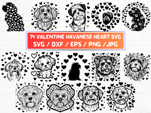Valentine Havanese Heart SVG